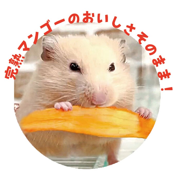 �ڿ��̸����ò��������桪�ۤ��ޤ��ޥޥ󥴡�