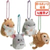 �פ��ޤ륢�˥ޥ륺��Pet��