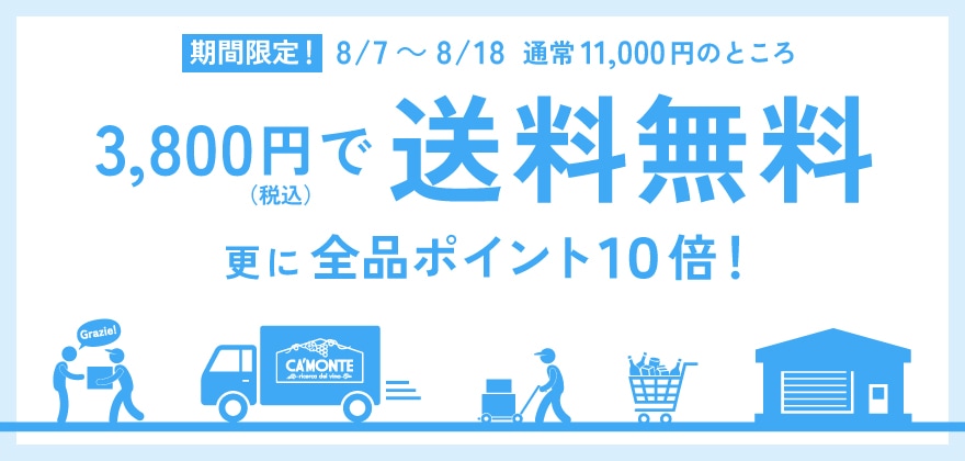 夏休みポイント10倍 3,800円で送料無料