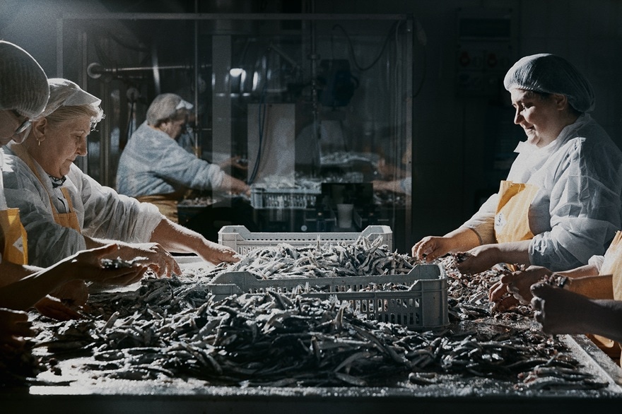 コラトゥーラ・ディ・アリーチ・リゼルヴァ