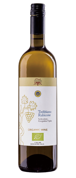 テッレ・チェヴィコ／“コッリ・ロマニョーリ”トレッビアーノ・ルビコーネ【白】 