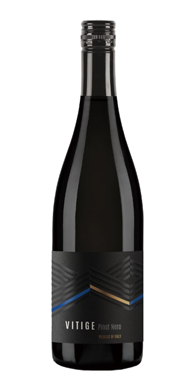 テッレ・チェヴィコ／“ヴィティージェ”ピノ・ネーロ・ヴェネト