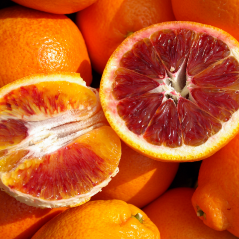 ブラッドオレンジの写真