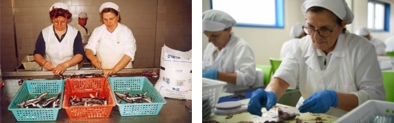 工場で丁寧な手作業を行う熟練の女性たちの写真