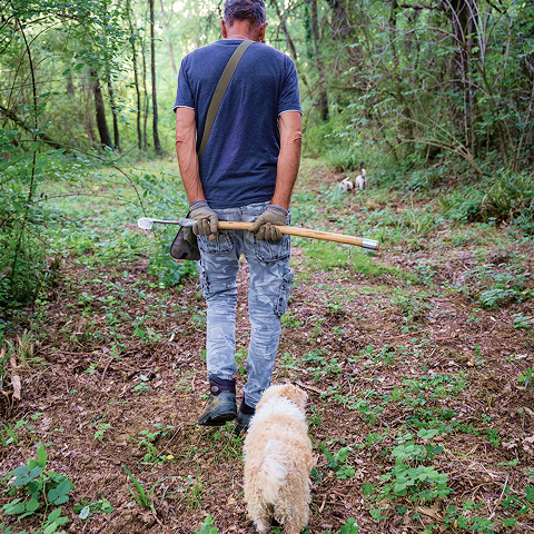 トリュフハンターの写真