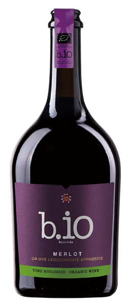 テッレ・チェヴィコ／“ビプントイオ”メルロー・アッパッシメント 2024 【赤】