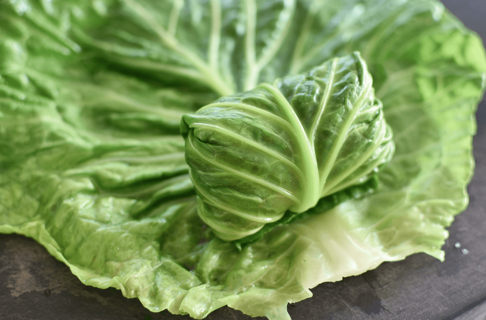 トマト&バジルの写真