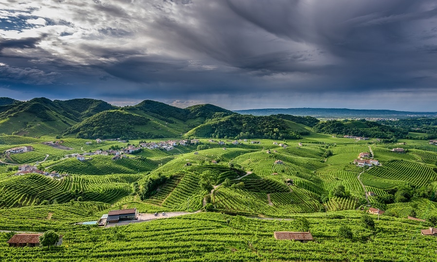 ベッレンダの畑