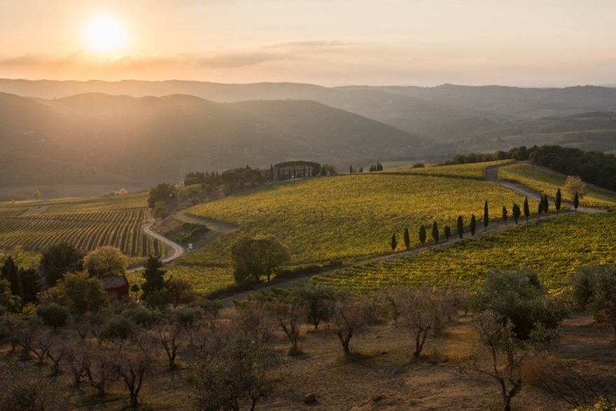 ラ・セルヴァネッラの畑とトスカーナの風景