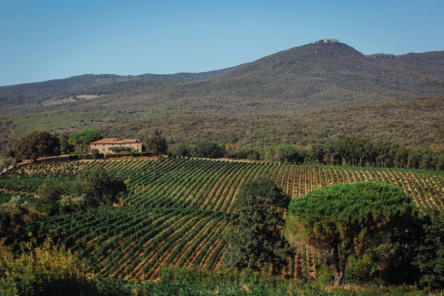 グラッタマッコの畑