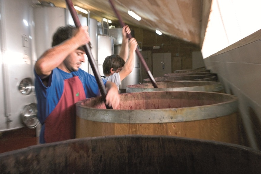 パンチングダウン