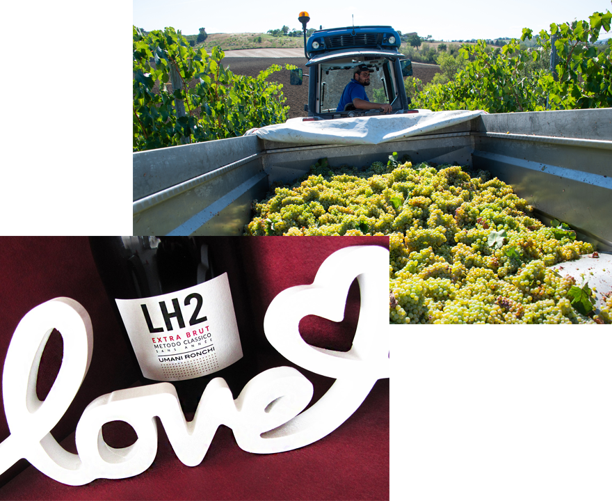 Happy New Year 2026 幸運の馬ラベルワインと