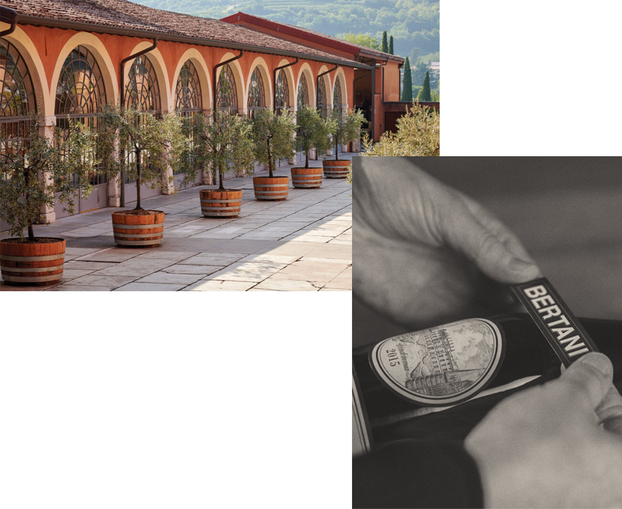 ベルターニ・オン