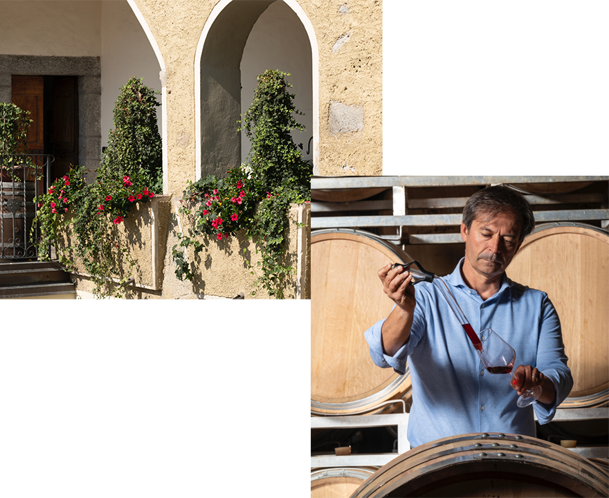 ニーノ・ネグリ