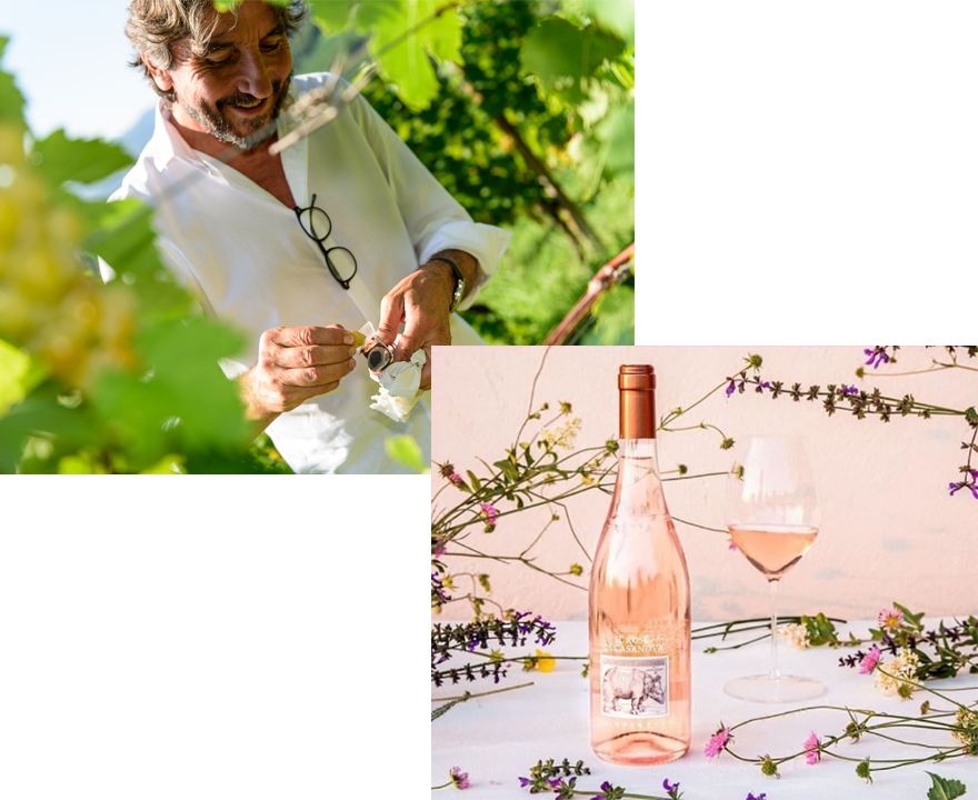 サンジョベーゼ