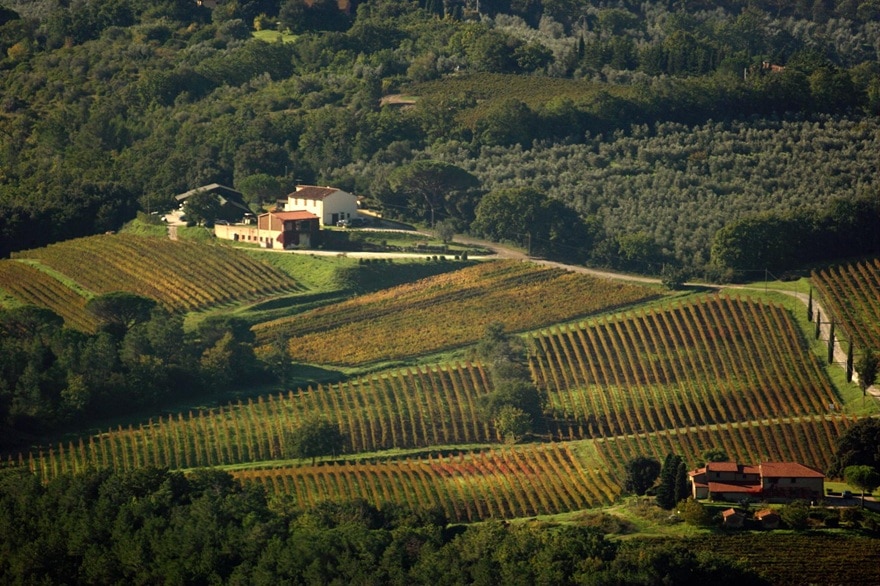 グラッタマッコの畑