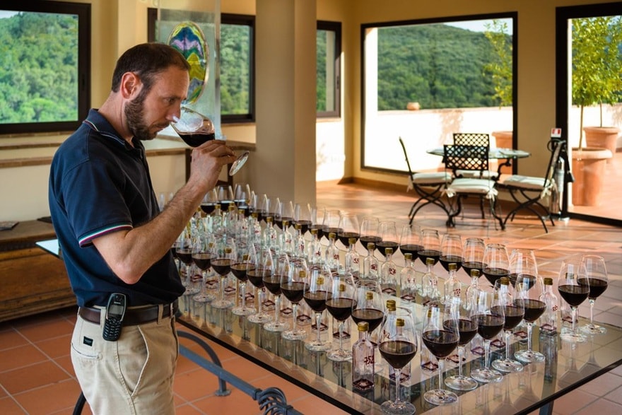 ブレンドを検討するルカ