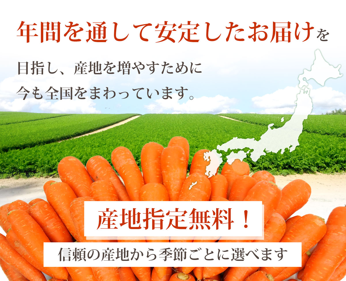 にんじんジュースに最適な無農薬にんじん ６ｋｇ 【送料無料】 【訳あり】