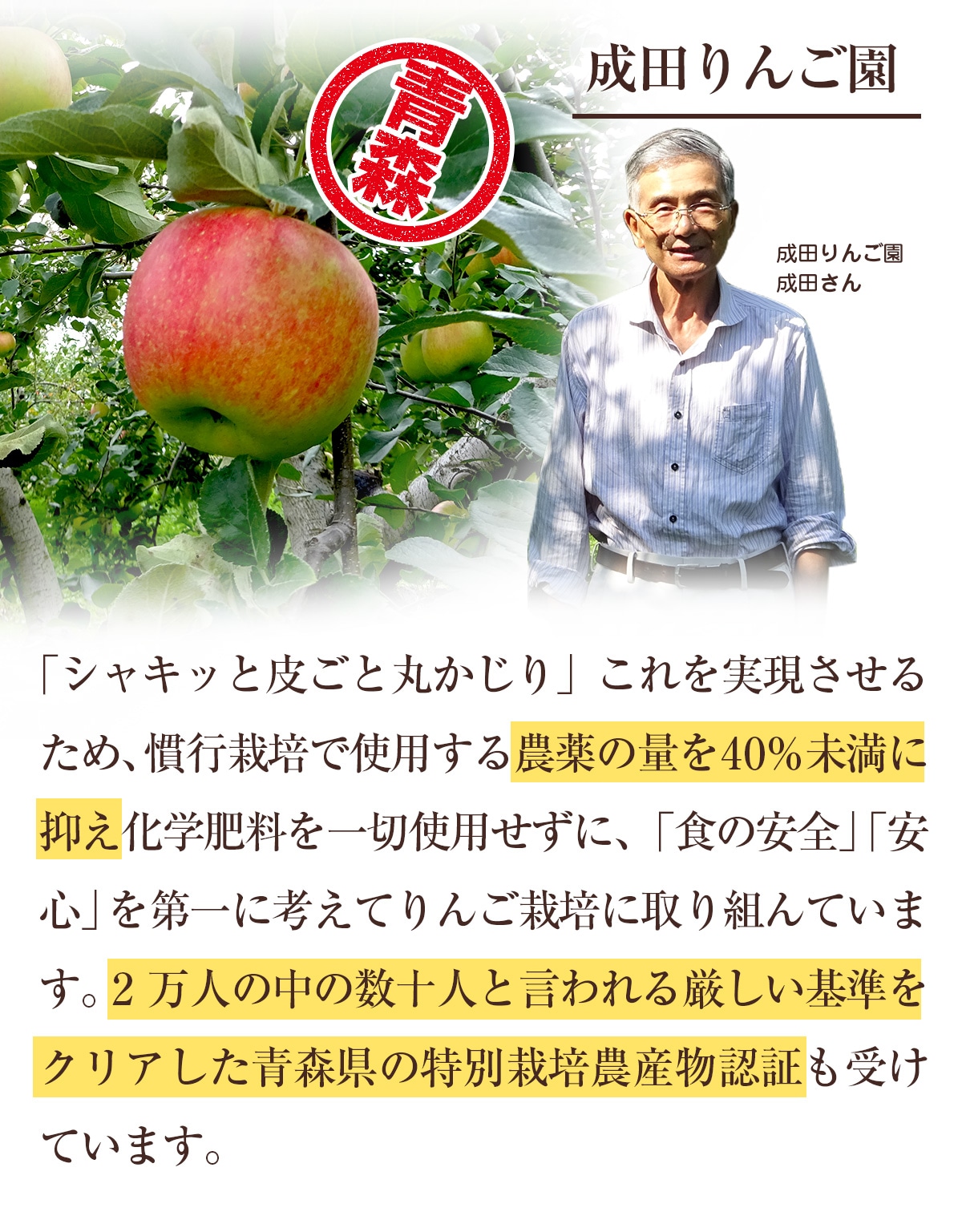 特別栽培農産物のりんご（成田りんご園）