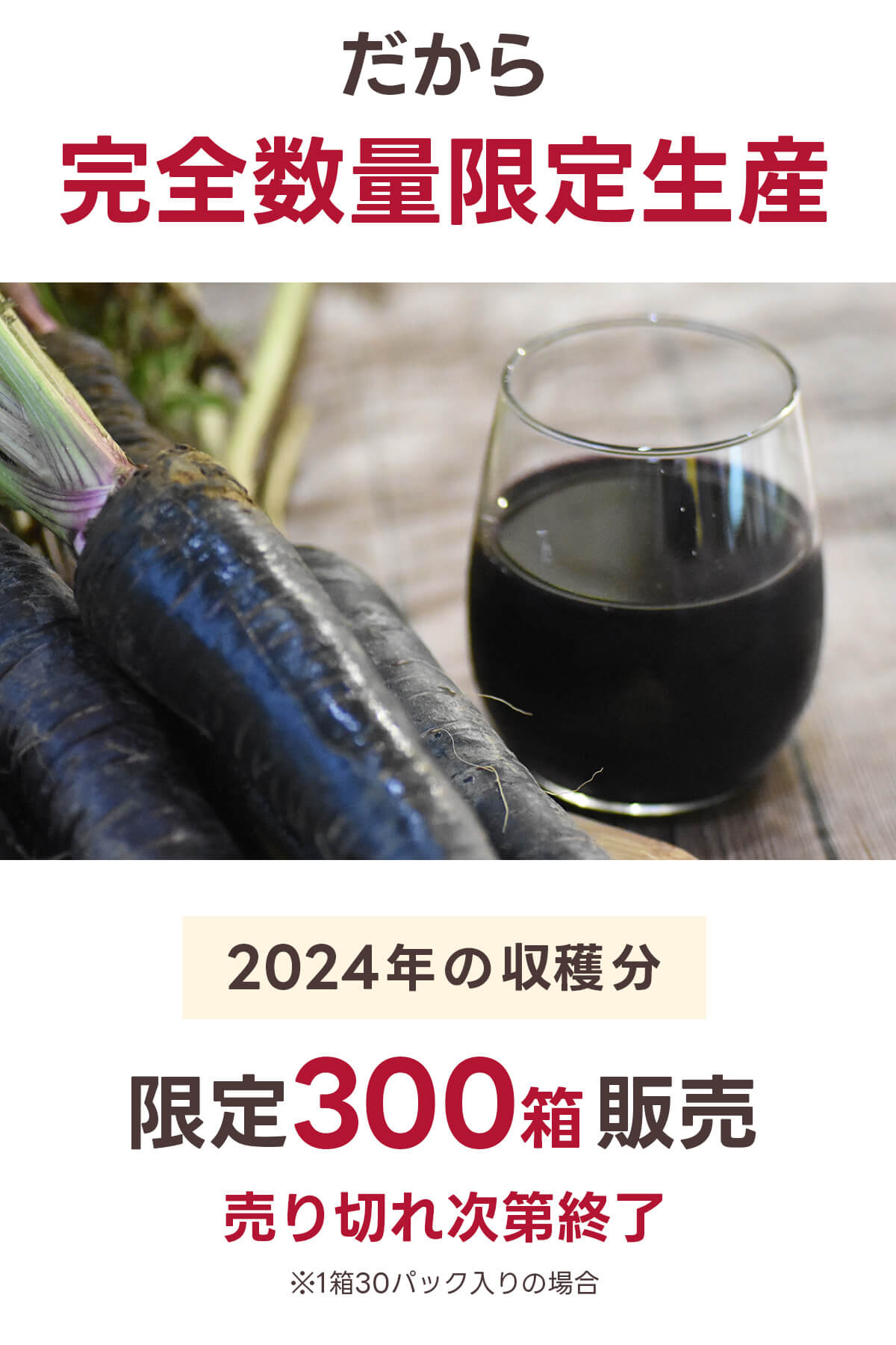 2024ǯμʬ300Ȣ䡪ڤ켡轪λ