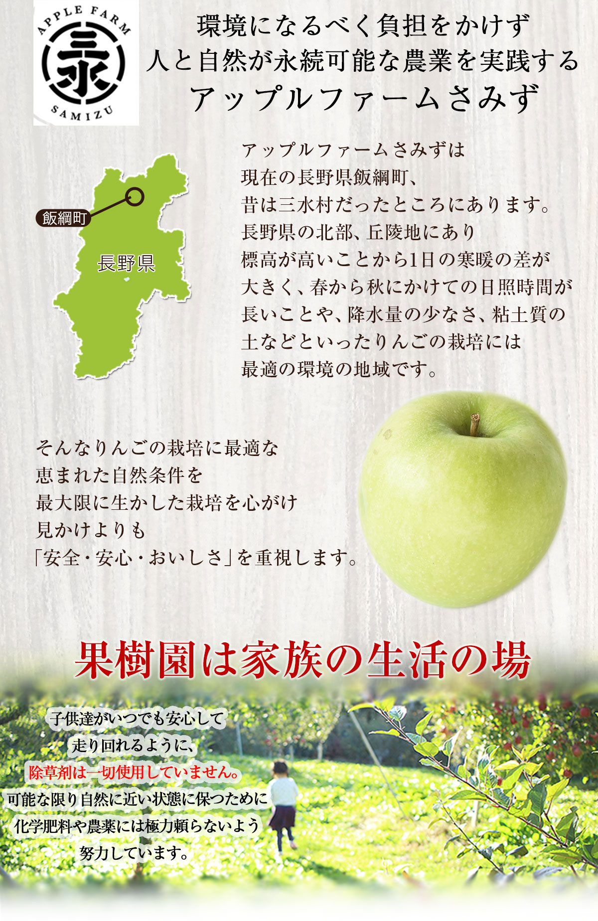 長野県産 りんご グラニースミス 5kg 特別栽培農産物 訳あり