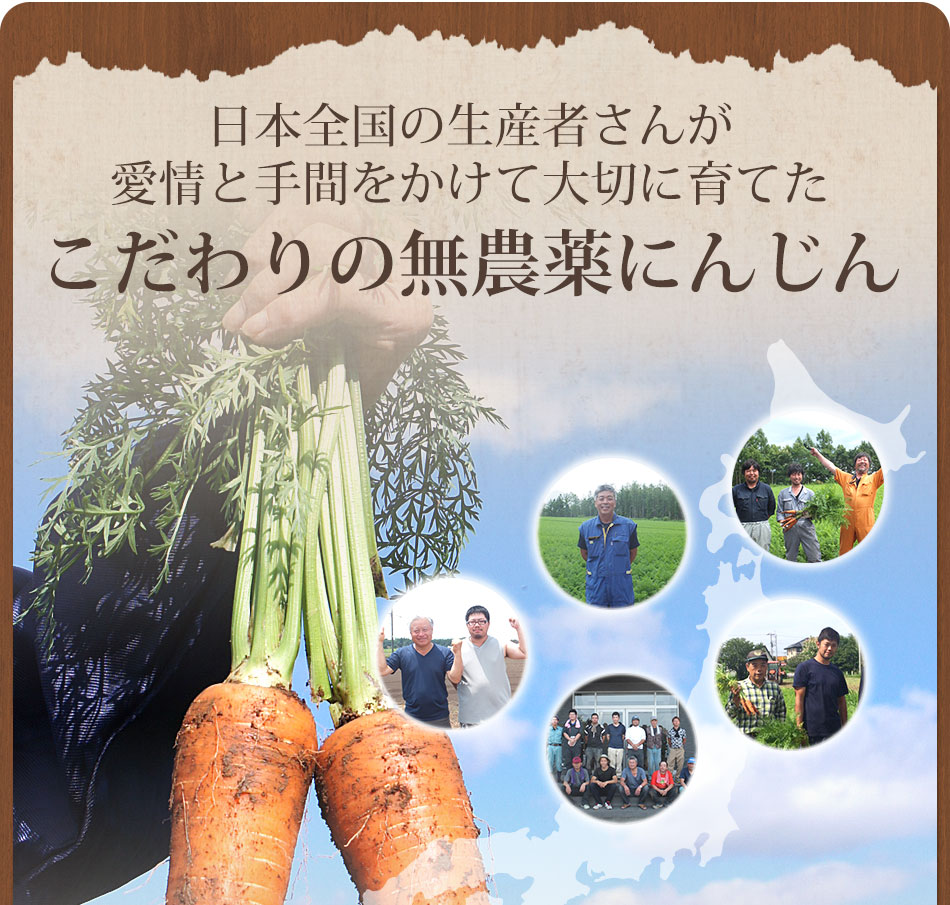 ギフト繊維入りにんじんりんごレモンジュース（２００ｍｌ×１０本）【ピカイチ野菜くんにんじんジュース専門館】