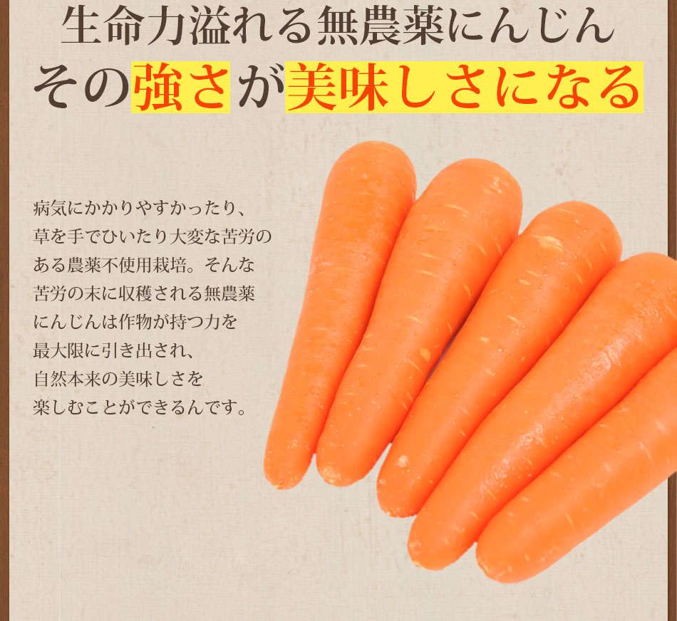 ギフト繊維入りにんじんりんごレモンジュース（２００ｍｌ×１０本）【ピカイチ野菜くんにんじんジュース専門館】