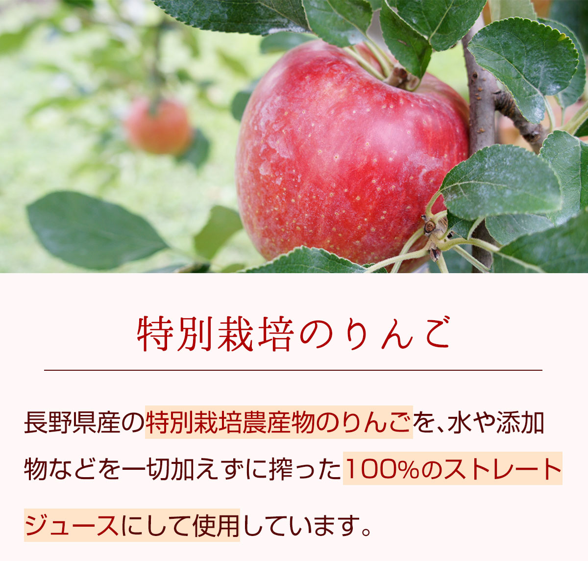 特別栽培のりんご