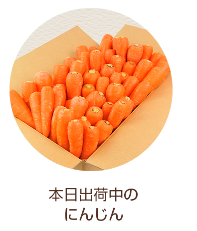 にんじんジュース専門館ピカイチ野菜くん