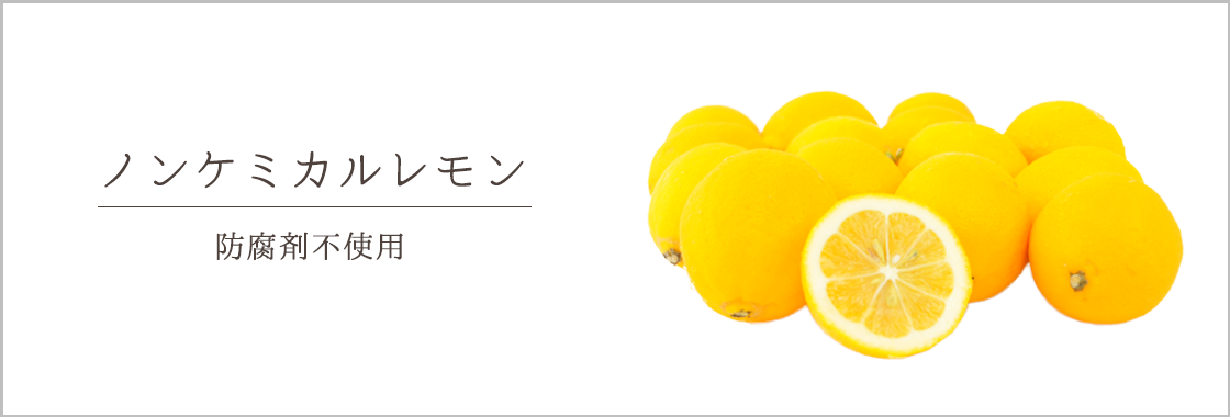 �Υ󥱥ߥ������