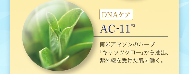 DNAケア AC-11*3 南米アマゾンのハーブ 「キャッツクロー」から抽出、 紫外線を受けた肌に働く。