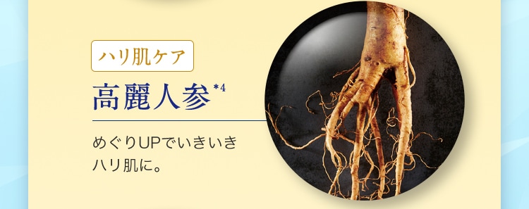 �ϥ�ȩ���� ����ͻ�*4 �ᤰ��UP�Ǥ������� �ϥ�ȩ�ˡ�