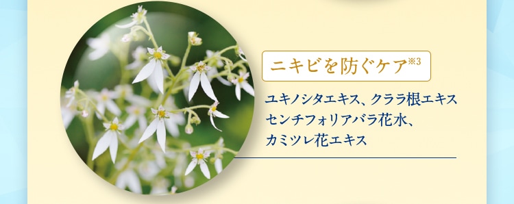 �˥��Ӥ��ɤ�������3 �業�Υ���������������麬������ ������ե��ꥢ�Х�ֿ塢 ���ߥĥ�֥�����