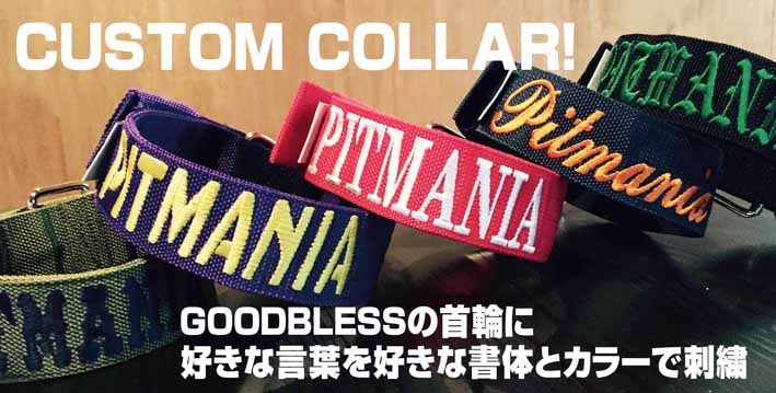 Pitmania ピットマニア