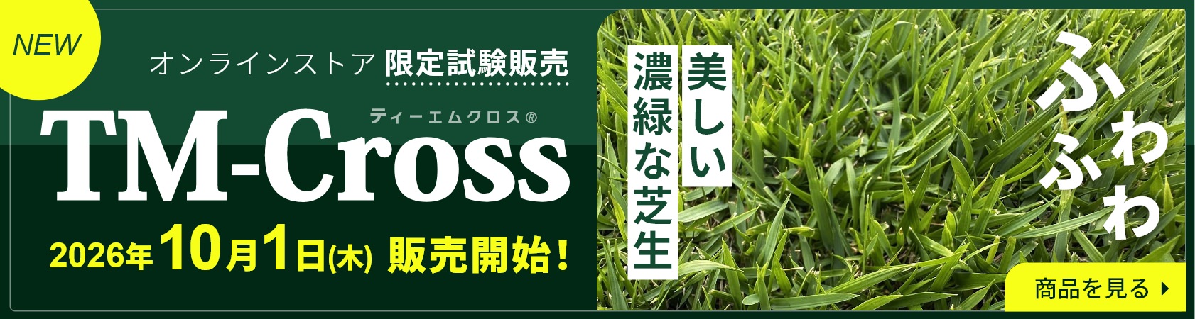 オンラインストア 限定試験販売 TM-Cross ティーエムクロス 2026年10月1日（木）販売開始! 美しい濃緑な芝生 ふわふわ 商品を見る