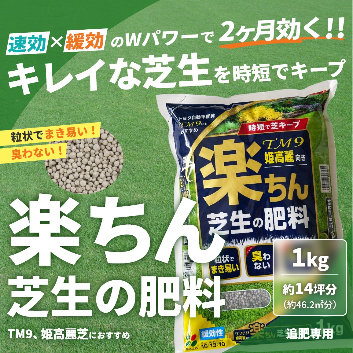 速効×緩効のWパワーで2ヶ月効く!!キレイな芝生を時短でキープ 粒状でまき易い 臭わない 楽ちん芝生の肥料 1kg 約14坪分 追肥専用 TM9 姫高麗芝におすすめ