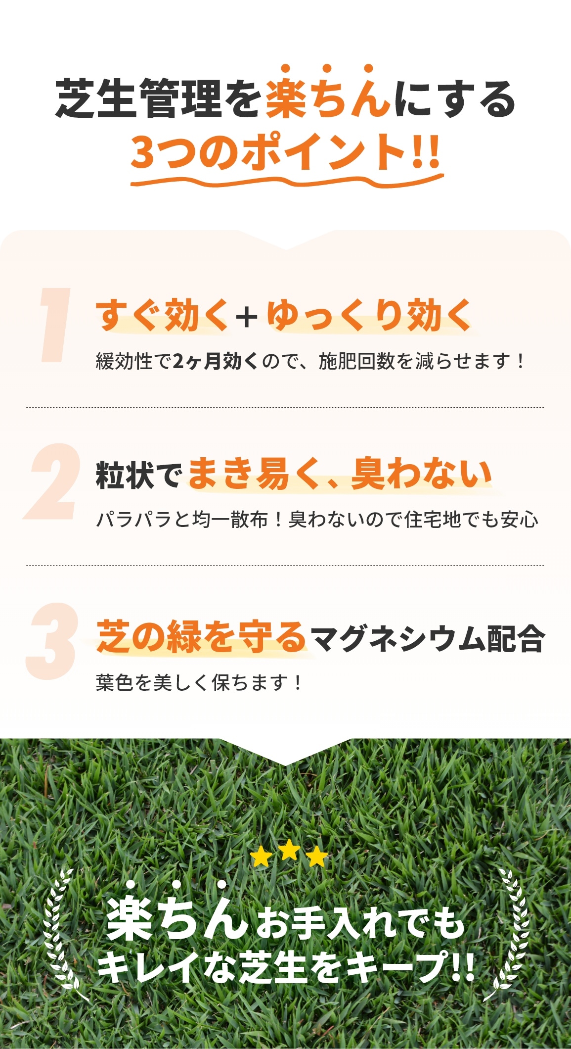 専用芝管理　芝　除草 楽ちん芝生の肥料 1キロ×1袋【送料込】 | 目土・肥料,肥料 | HAYASHI