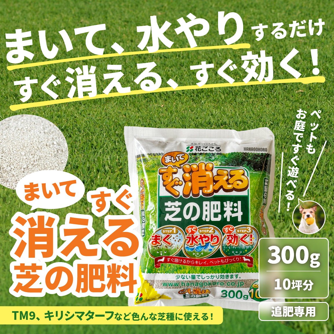 まいて、水やりするだけ、すぐ消える、すぐ効く！まいてすぐ消える芝生の肥料。TM9、キリシマターフなど色んな芝種に使える！