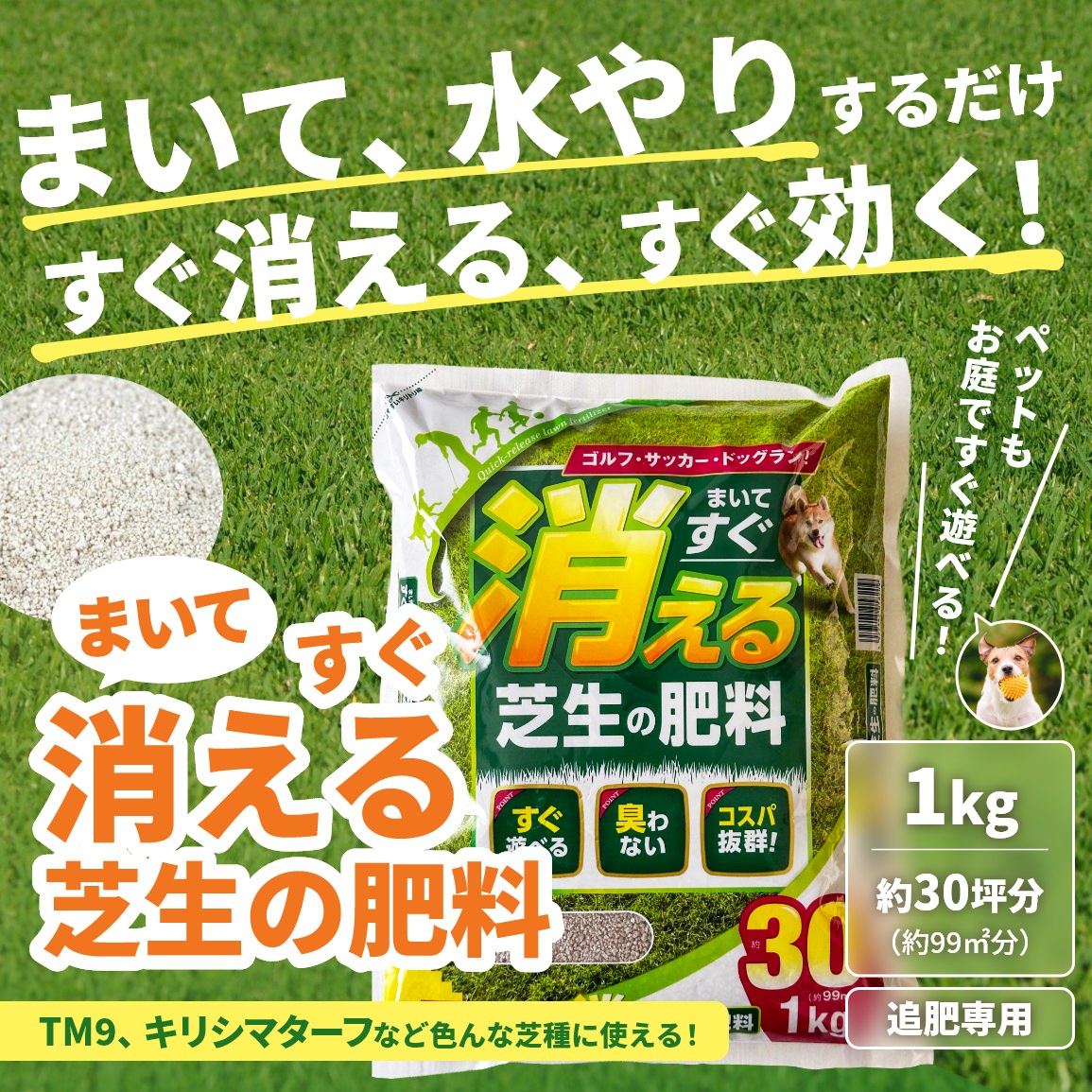 まいて、水やりするだけ、すぐ消える、すぐ効く！まいてすぐ消える芝生の肥料。TM9、キリシマターフなど色んな芝種に使える！