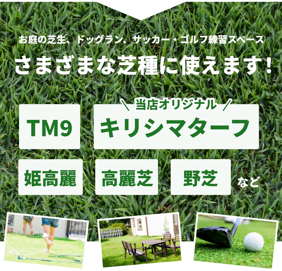 まいてすぐ消える芝の肥料 300グラム×1袋【送料無料】 | 目土・肥料
