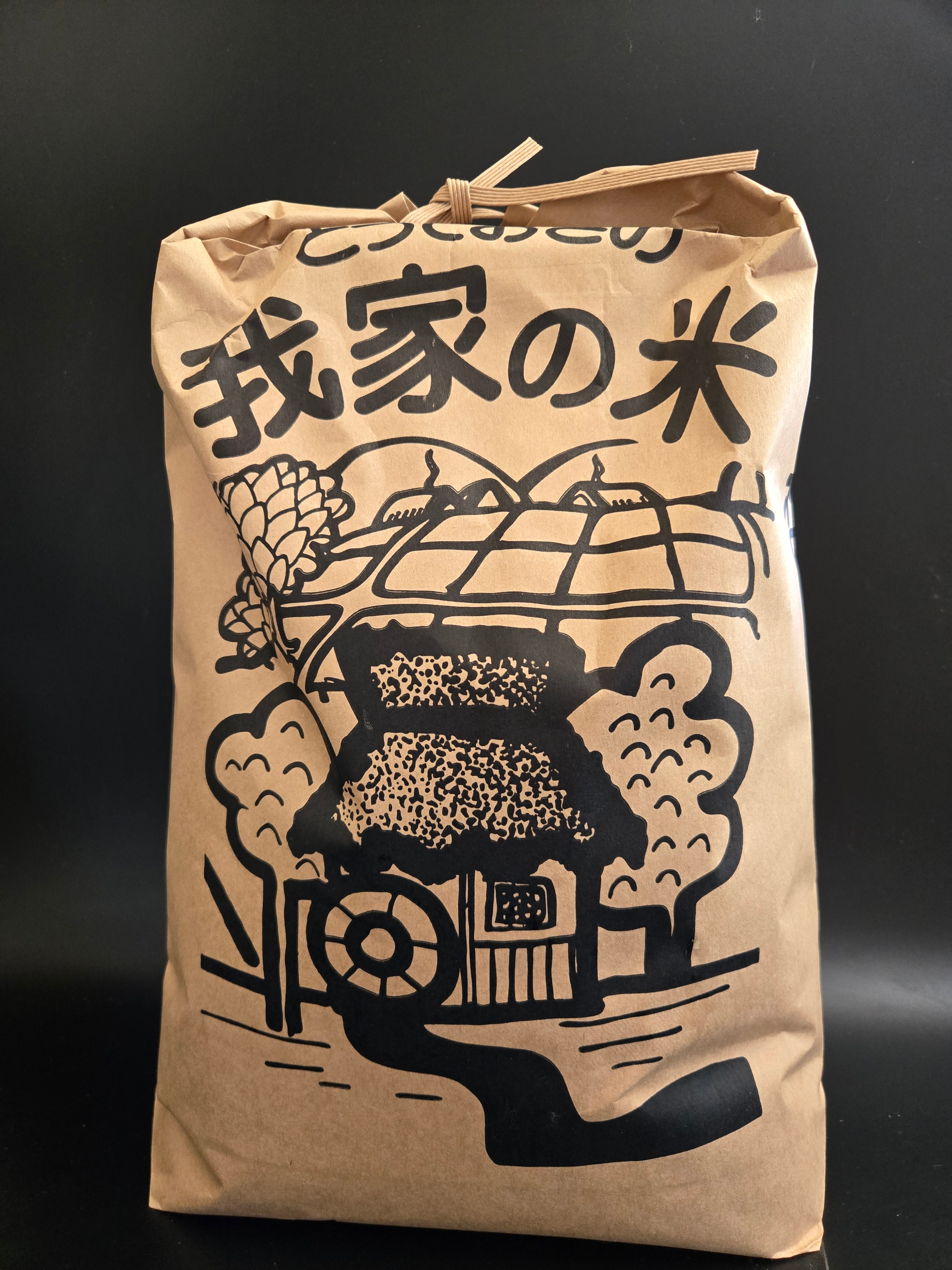 特別栽培米 山形県東根市「石山農園」さんの 「つや姫」新米5㌔【地域