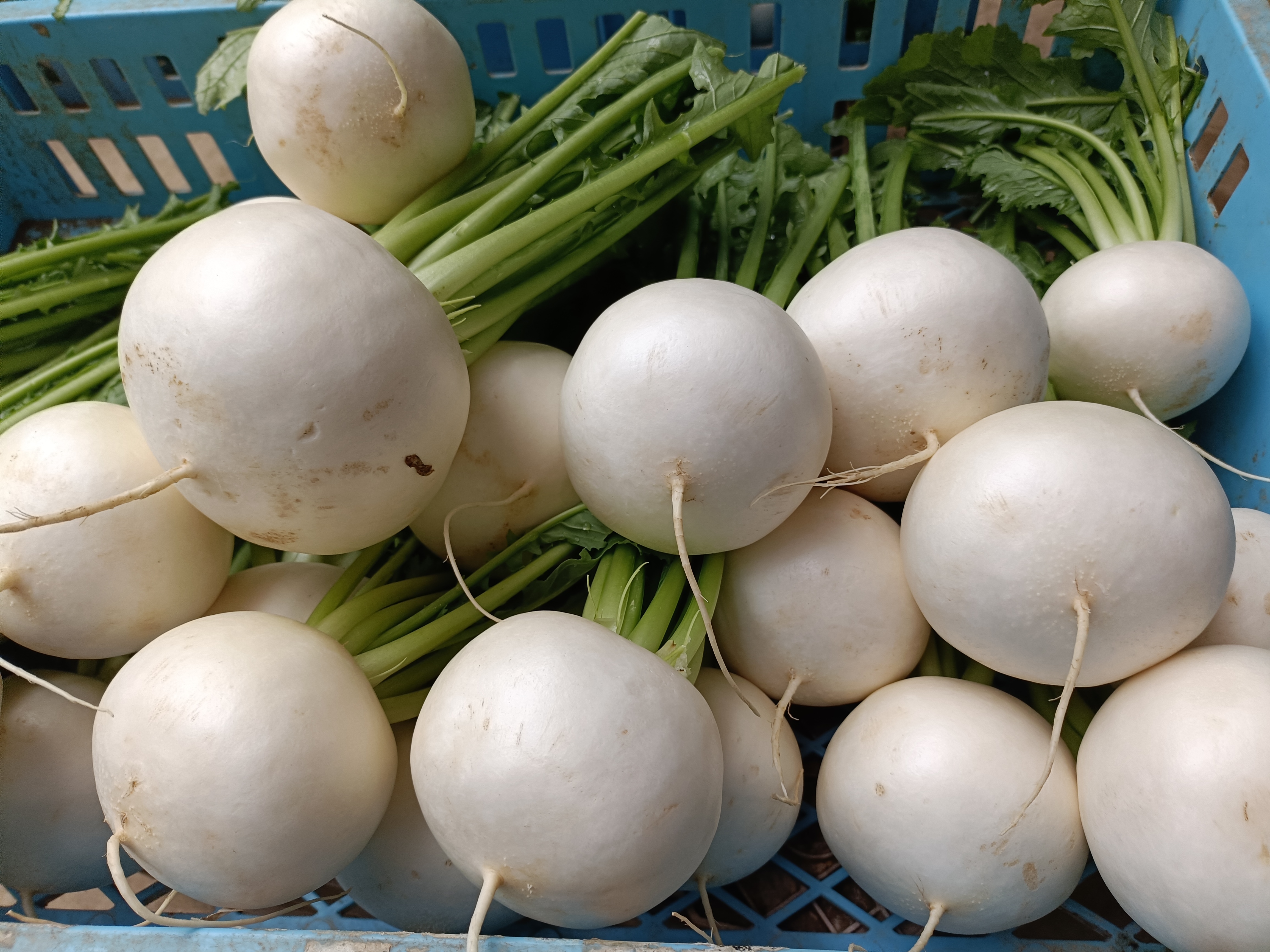 ���åץ����ɤ������ʥᥤ�����