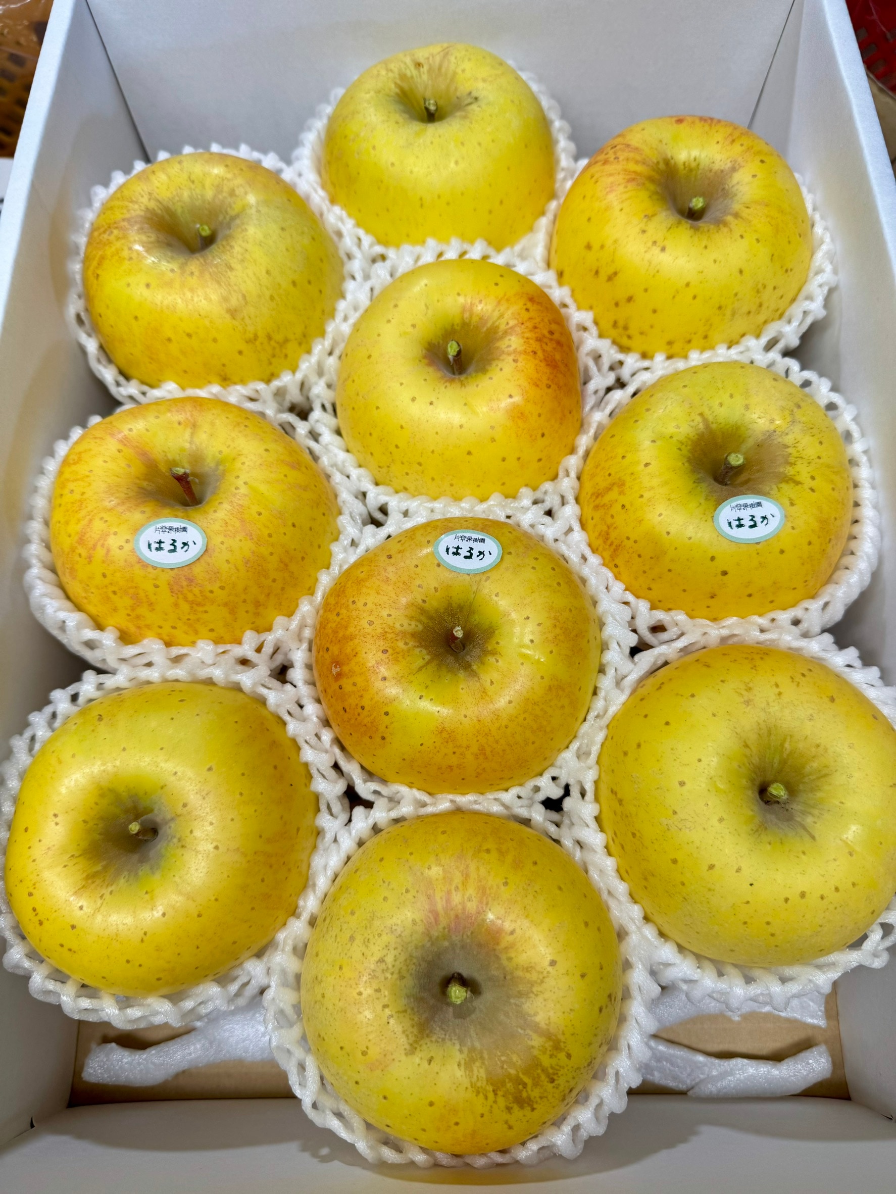 片平果樹園】【完売御礼！】初登場♪希少品種の完熟りんご「はるか」3