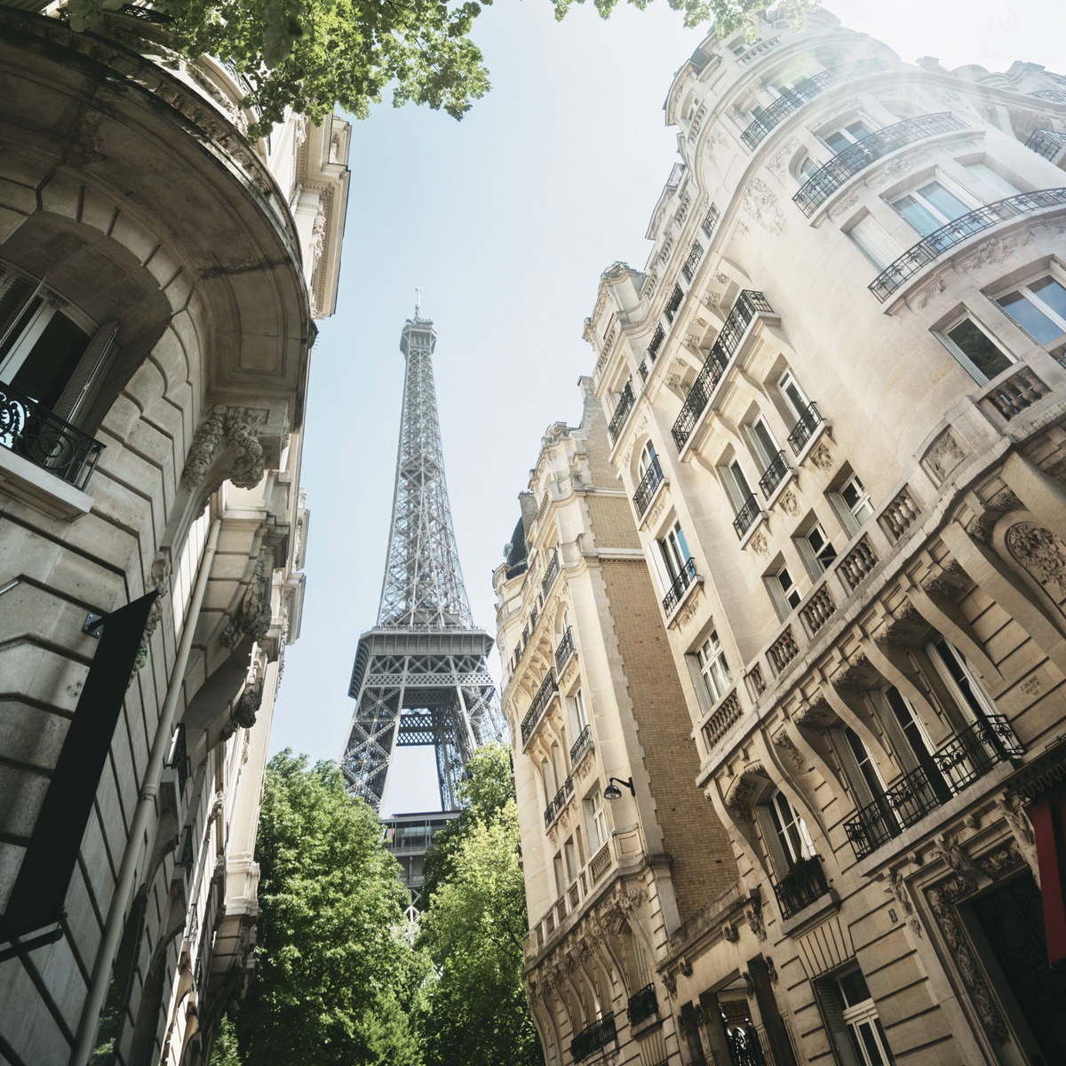 �ڥ������å� �ӻ��� �ץ쥼��� �ե�� £��ʪ ���¤� ���åե�����