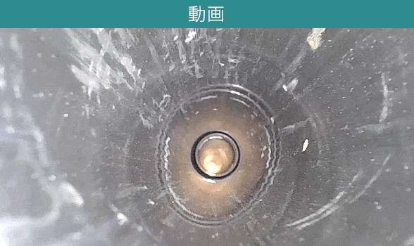 動画も鮮明でなめらかに撮影可能