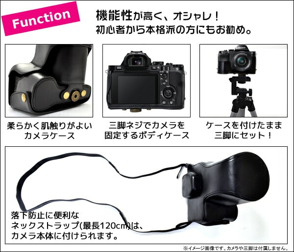 Function/機能