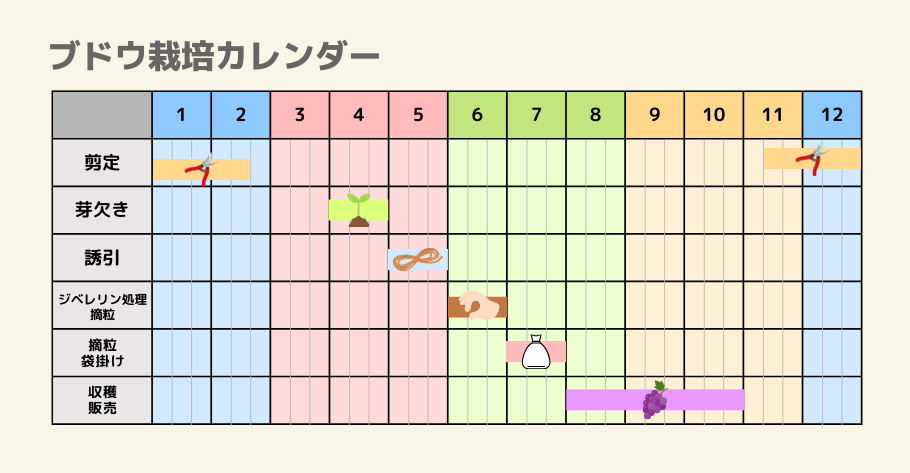 ブドウの栽培カレンダー