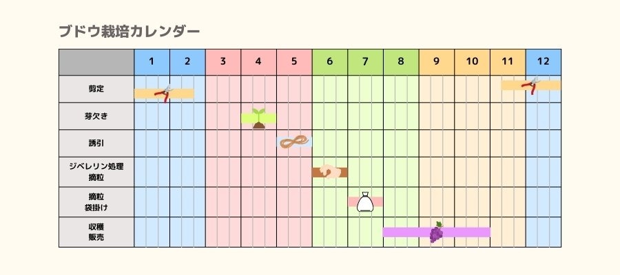 ブドウの栽培カレンダー