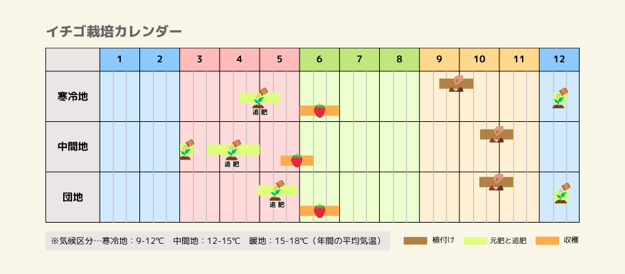 イチゴの栽培カレンダー