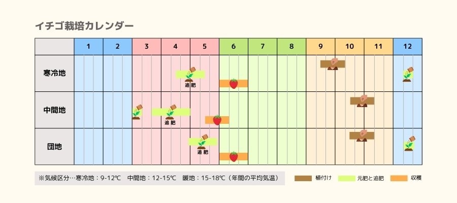 イチゴの栽培カレンダー